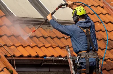 Démoussage et hydrofuge de toiture à Fenioux